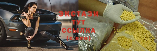 стаф Богородицк