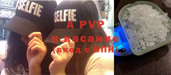 стаф Богородицк
