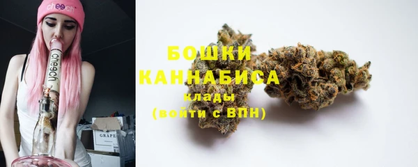 стаф Богородицк