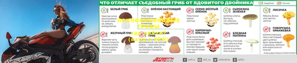 стаф Богородицк