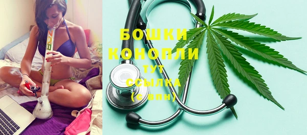 соль ск Богданович