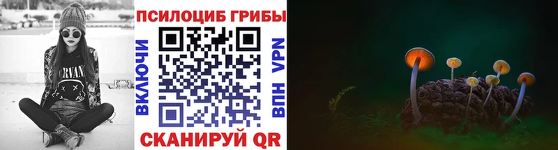 Псилоцибиновые грибы Magic Shrooms  Коряжма 